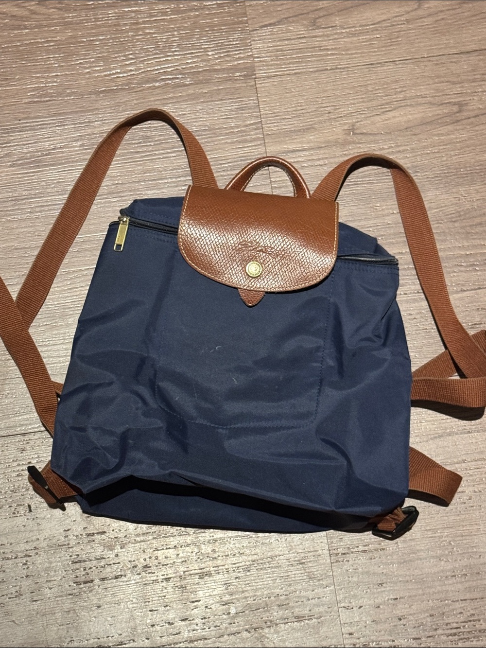 Longchamp Navy Backpack